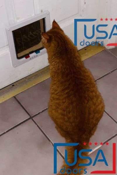 Pet Door Installation