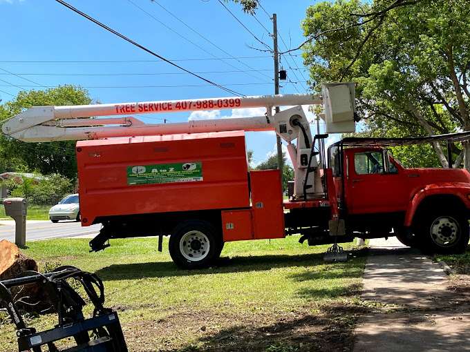 A to Z tree removal service LLC